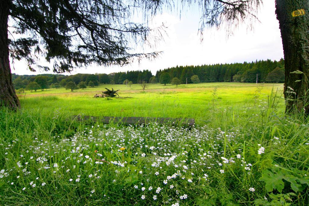 Penzion Muflon Bela nad Radbuzou Dış mekan fotoğraf